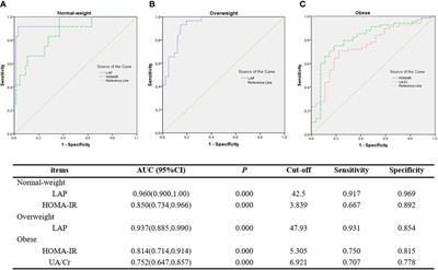 Lipid accumulation product is an effective predictor of metabolic syndrome in non-obese women with polycystic ovary syndrome